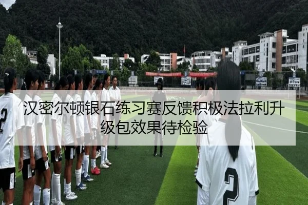 汉密尔顿银石练习赛反馈积极法拉利升级包效果待检验（gamersky.com）